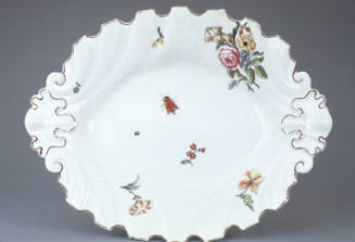 Dish