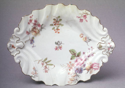 Dish