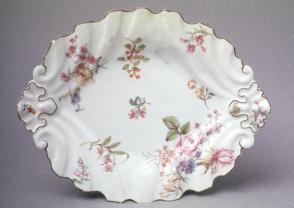 Dish