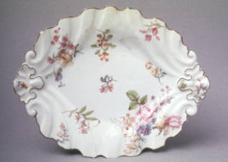 Dish