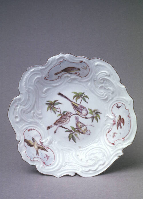 Dish