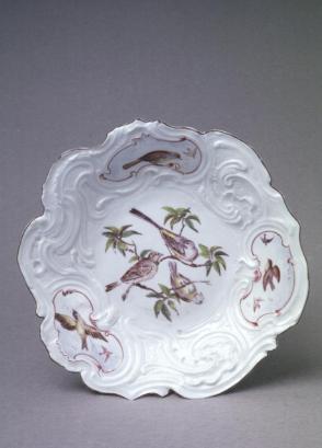 Dish