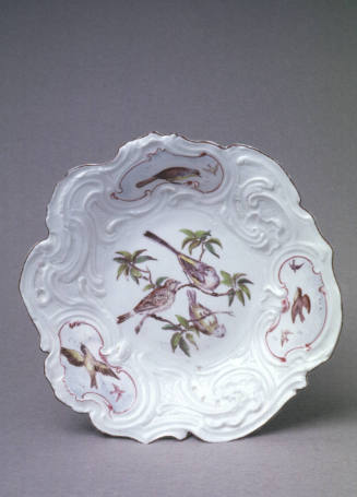 Dish