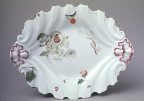 Dish