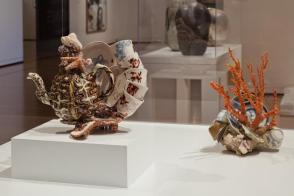 Cluster of porcelain fragments and coral from a shipwreck