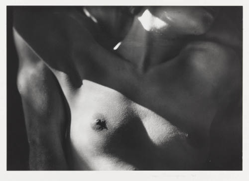 Photo: Elizabeth Mann