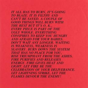 Inflammatory Essays