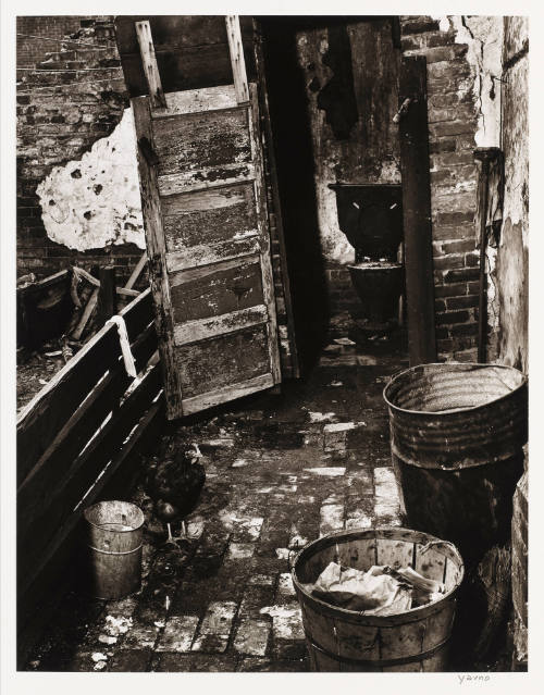 Photo: Elizabeth Mann