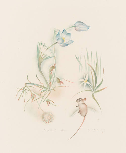 Photo: Elizabeth Mann