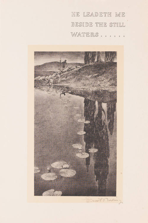 Photo: Elizabeth Mann