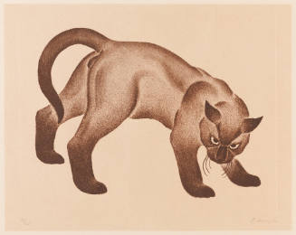 Photo: Elizabeth Mann