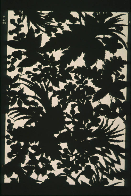 Autumn foliage