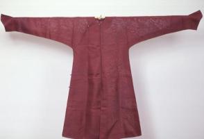 Court inner robe