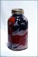 Pickled Flag