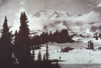 Evening on Rainier