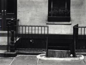 Untitled (Apartment, New York)