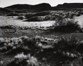 Untitled, (Desert Landscape, Baja, California)