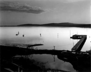 Untitled, (Bodega Bay, California)