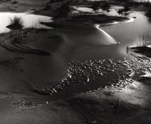 Untitled, (Sand Want Water, Oregon)