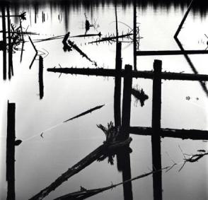 Untitled, (Logging Pond, Alaska)