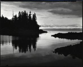 Untitled, (Trees and Water, Landscape)