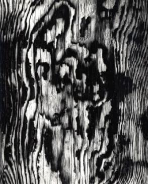 Untitled, (Wood Detail)