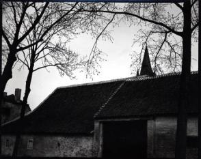 Untitled, (Building and Trees, Europe)