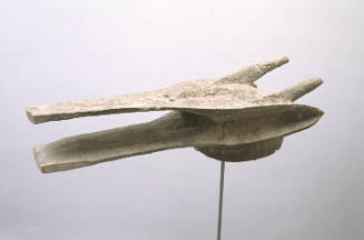 Head of the Kono (Kono-kun)