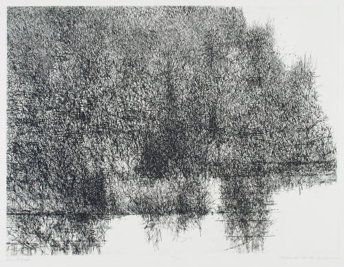 Photo: Elizabeth Mann