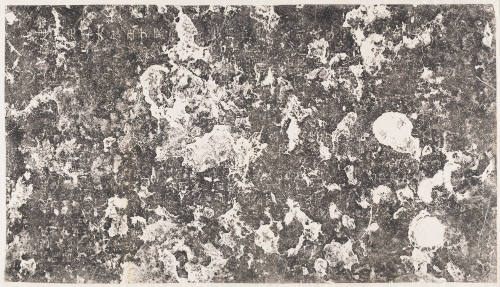 Photo: Elizabeth Mann