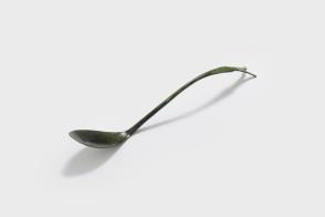 Spoon