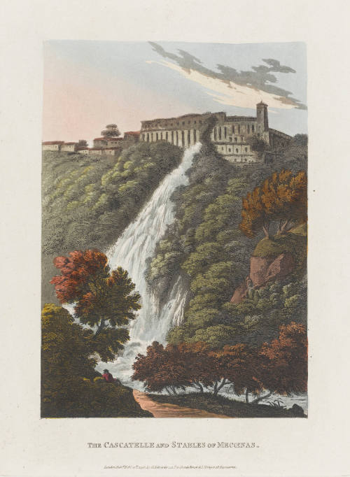 Photo: Elizabeth Mann