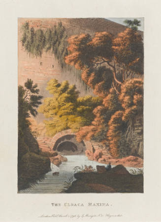 Photo: Elizabeth Mann