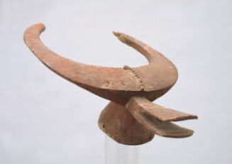 Bush Cow Crest