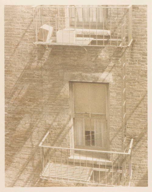 Photo: Elizabeth Mann
