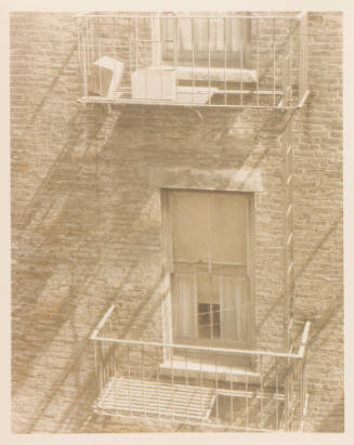Photo: Elizabeth Mann