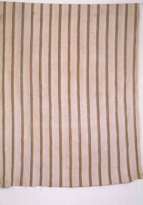 Cloth