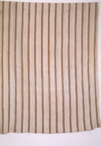 Cloth