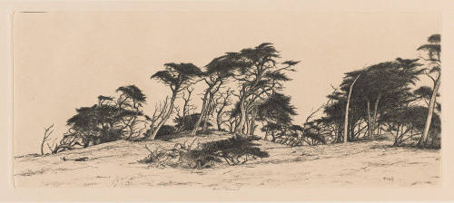 Photo: Elizabeth Mann