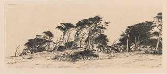 Photo: Elizabeth Mann