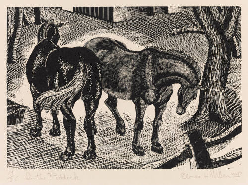 Photo: Elizabeth Mann