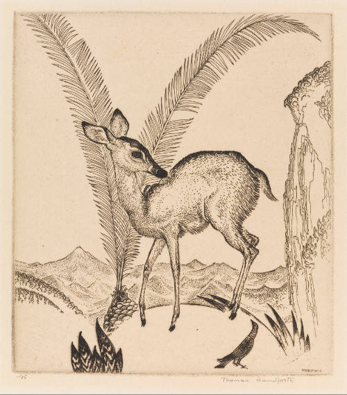 Photo: Elizabeth Mann