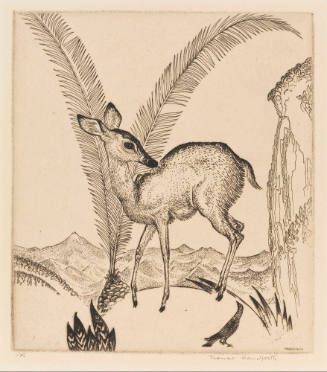 Photo: Elizabeth Mann