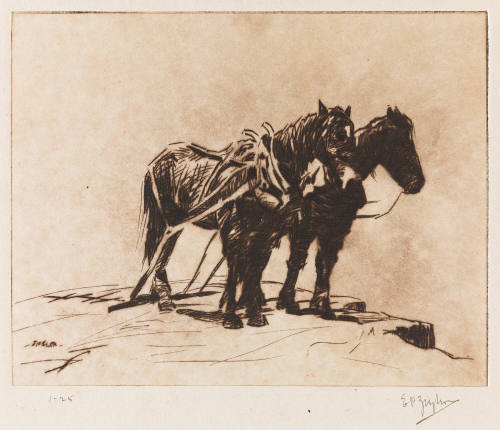 Photo: Elizabeth Mann