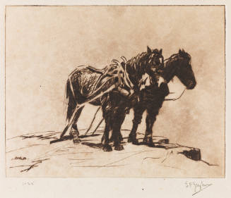 Photo: Elizabeth Mann