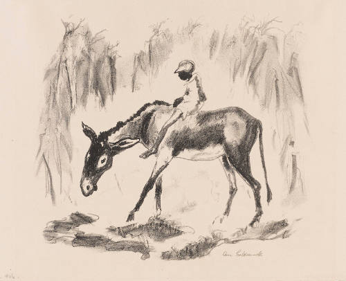 Photo: Elizabeth Mann