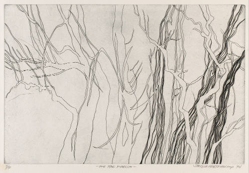 Photo: Elizabeth Mann