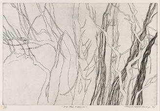 Photo: Elizabeth Mann