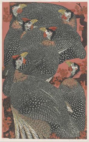 Guinea Fowl