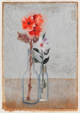 Photo: Elizabeth Mann